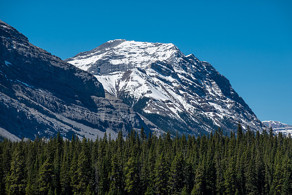 Mount Peters.