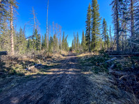 The trail is more of a road in places.
