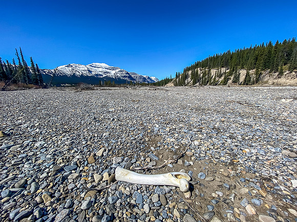Bones and Forbidden Peak.