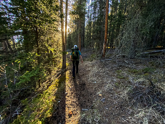 Hiking up the Clearwater Trail as the late afternoon sun casts long shadows through the forest.