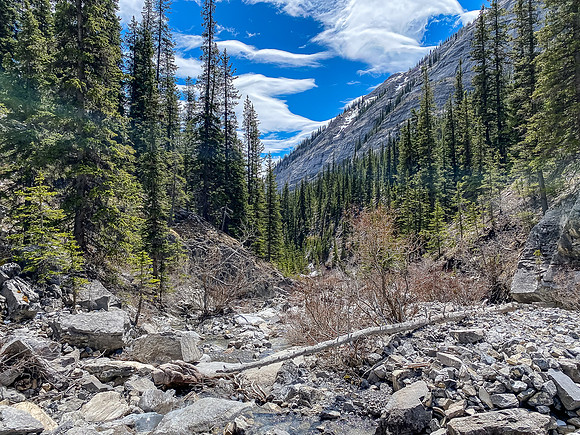 Views back down the drainage.