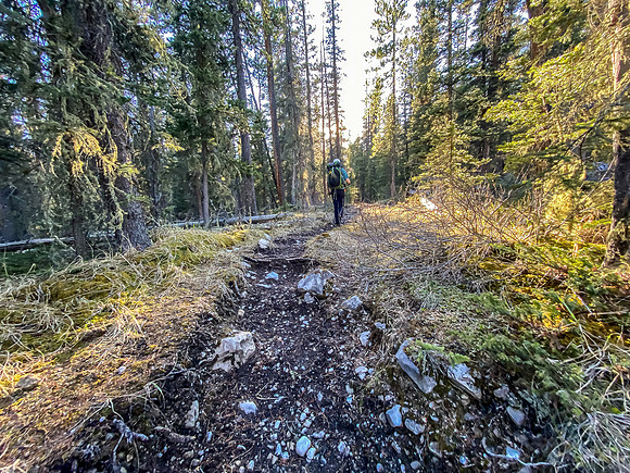 Hiking up the Clearwater Trail as the late afternoon sun casts long shadows through the forest.