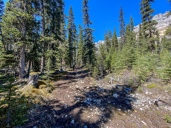 The cutline trail up to the SE shoulder of Lost Guide is rough riding - mostly pushing the bikes.