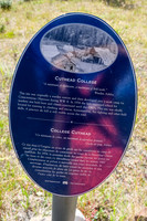Interesting and somewhat disturbing history of Cuthead College.