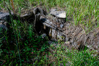 Old ruins at the Cuthead College site.