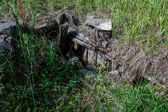 Old ruins at the Cuthead College site.