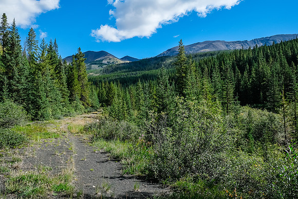 Hiking the fire road up Cuthead Creek we get our first distant views of Panther Mountain.