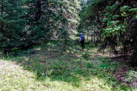 Hiking up the lower access drainage from Wigmore Lake.