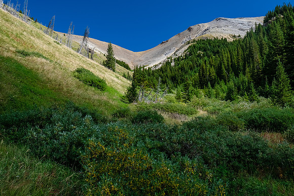 The access col above us.