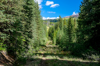 Hiking the fire road up Cuthead Creek.