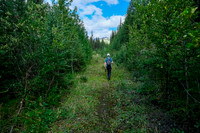 Hiking the fire road up Cuthead Creek.