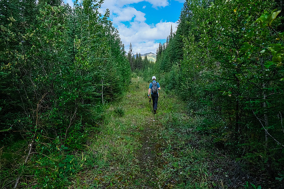 Hiking the fire road up Cuthead Creek.