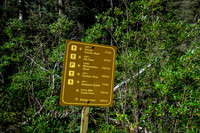There are a surprising number of trails in the eastern area of Banff National Park.