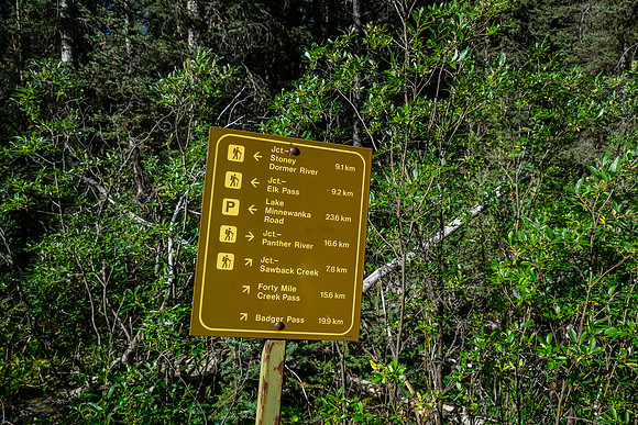 There are a surprising number of trails in the eastern area of Banff National Park.