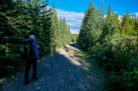 A long, scenic hike up the Cascade Fire Road.