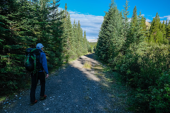 A long, scenic hike up the Cascade Fire Road.
