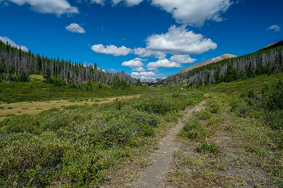 Lovely alpine valley hiking as we near the pass south of Wigmore Lake.