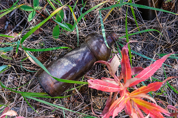Old human detritus at the Cuthead College site.