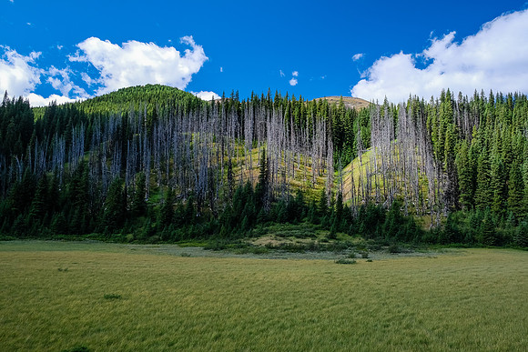 Lovely alpine valley hiking as we near the pass south of Wigmore Lake.