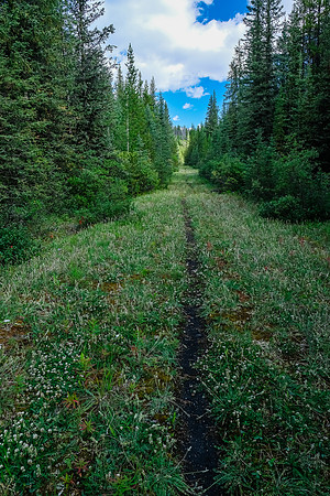 Hiking the fire road up Cuthead Creek.