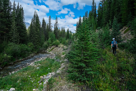 Hiking the fire road up Cuthead Creek.