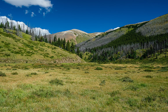 Lovely alpine valley hiking as we near the pass south of Wigmore Lake. Panther rises at distance.