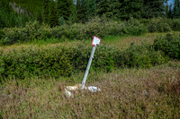Another dilapidated and shot up sign.