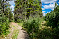 The much more traveled trail to Flints Park goes left off the fire road. Panther lies straight ahead