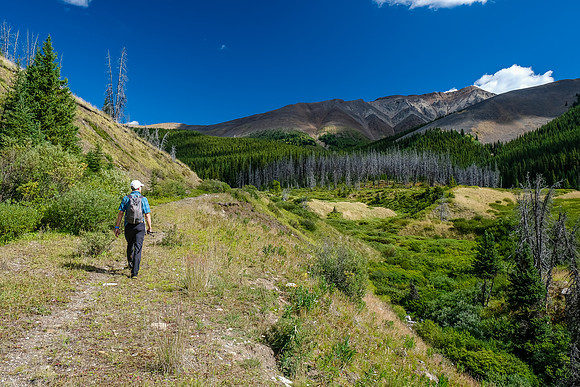 Lovely alpine valley hiking as we near the pass south of Wigmore Lake.