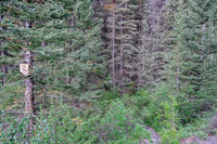 A horse trail cuts off the main one towards Flints Park.