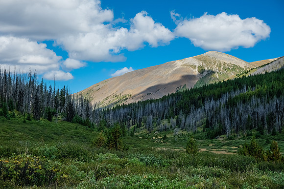Lovely alpine valley hiking as we near the pass south of Wigmore Lake.