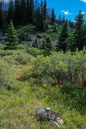 The route / trail to Bighorn Lake starts here. Cuthead Creek also deviates west from the trail.