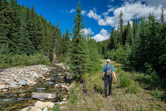 Hiking the fire road up Cuthead Creek.