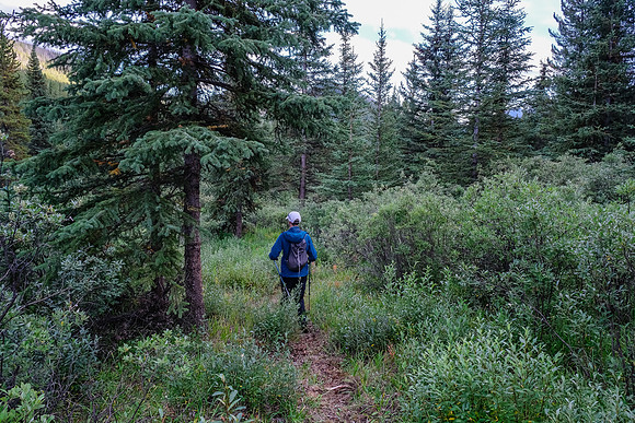 Hiking back to the Flints Park junction.