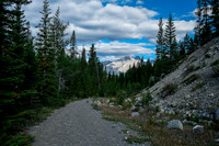 A long, scenic hike up the Cascade Fire Road.