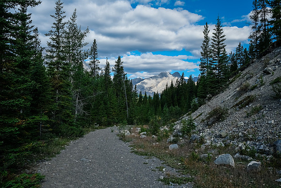 A long, scenic hike up the Cascade Fire Road.