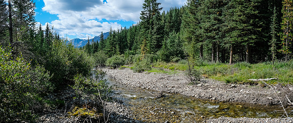 A freshly cut detour off the Cascade Road - see on the far side of the river (R).
