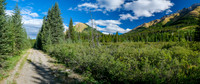 A long, scenic hike up the Cascade Fire Road.