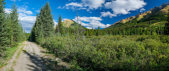 A long, scenic hike up the Cascade Fire Road.