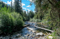 Hiking the fire road up Cuthead Creek. No more maintained bridges here.
