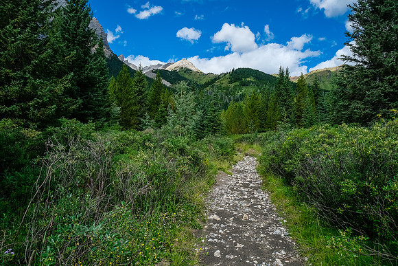 Returning up Flints Park trail.