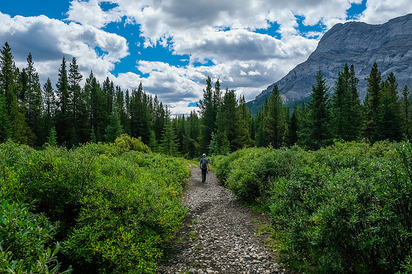 Returning up Flints Park trail.