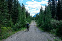 The long trek back to Stony Creek.