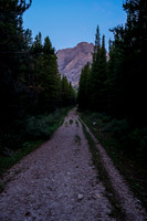 Early morning hiking on Flints Park trail.