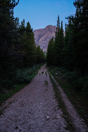 Early morning hiking on Flints Park trail.