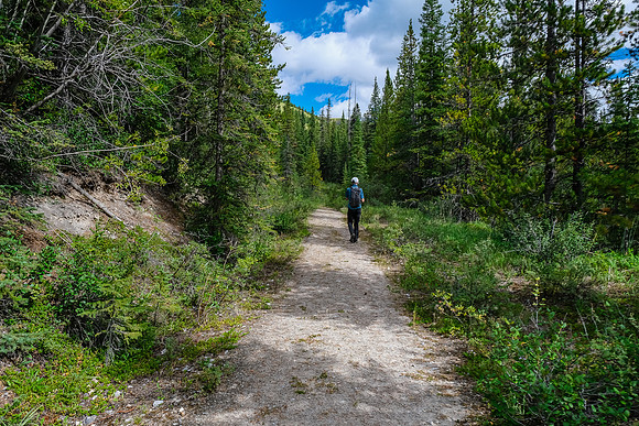 Returning up Flints Park trail.