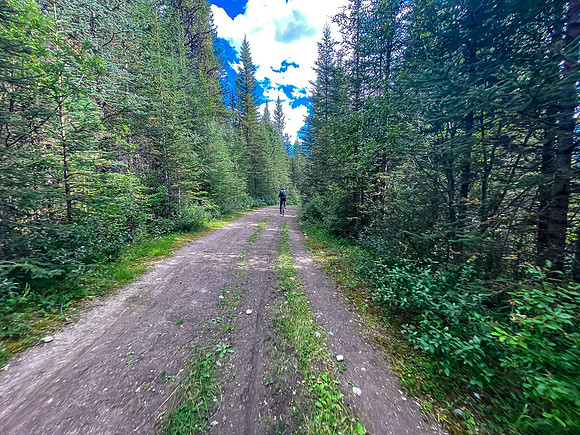 Biking back along the Cascade Fire Road to Lake Minnewanka.