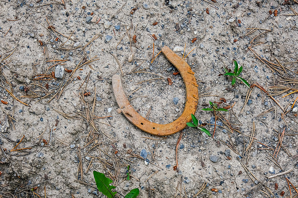 Evidence of horse traffic here.