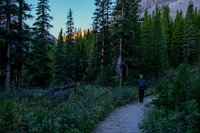 Early morning hiking on Flints Park trail.
