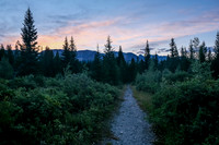 Early morning hiking on Flints Park trail.